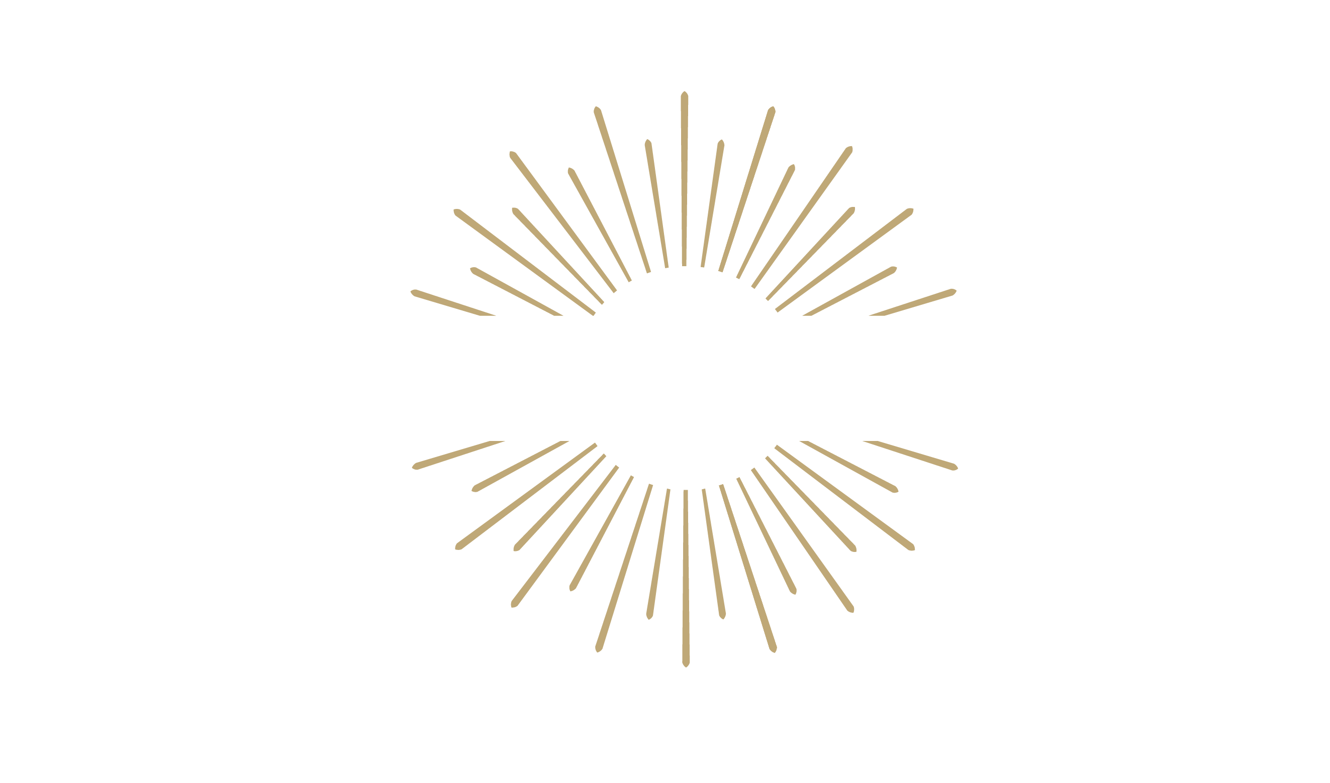 Sun Tanner: Wellness & Tanning Spa logo
