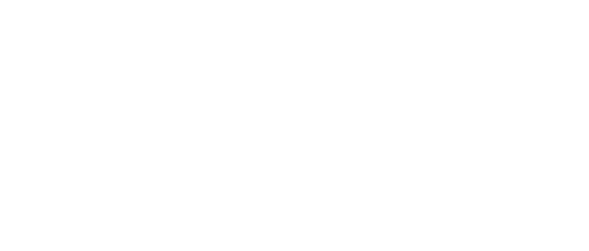 Chic Lash Boutique logo